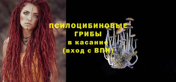 герыч Медногорск