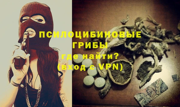 Альфа ПВП Медвежьегорск