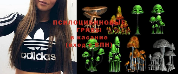 Альфа ПВП Медвежьегорск