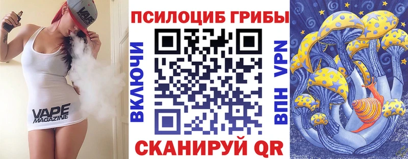 как найти закладки  Томск  Галлюциногенные грибы Cubensis 