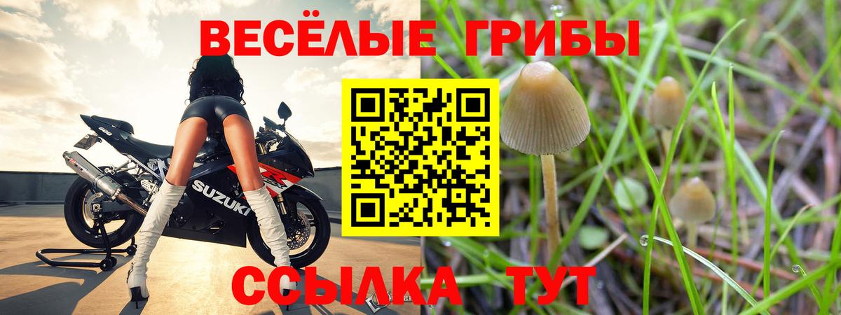 Каннабис  Томск  Вход с VPN  ГАШ  COCAIN  Меф кристаллы  ГАШИШ 