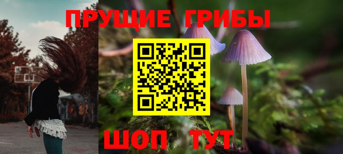 Псилоцибиновые грибы GOLDEN TEACHER Томск